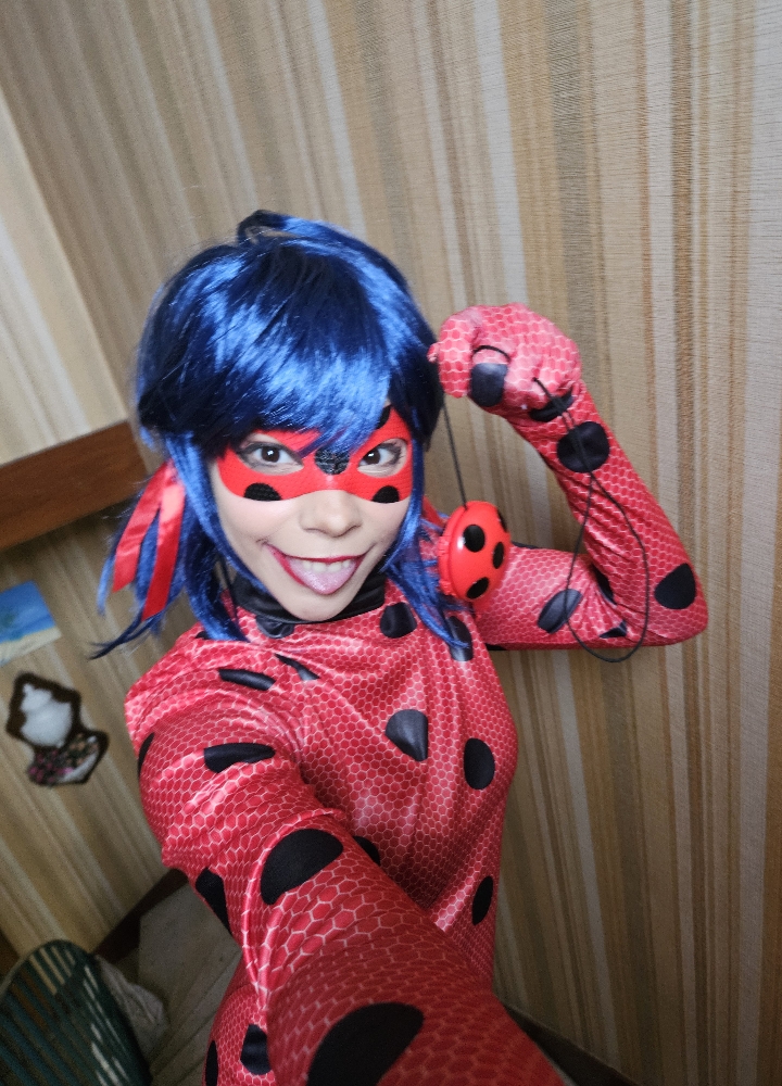 Ladybug — photo 5