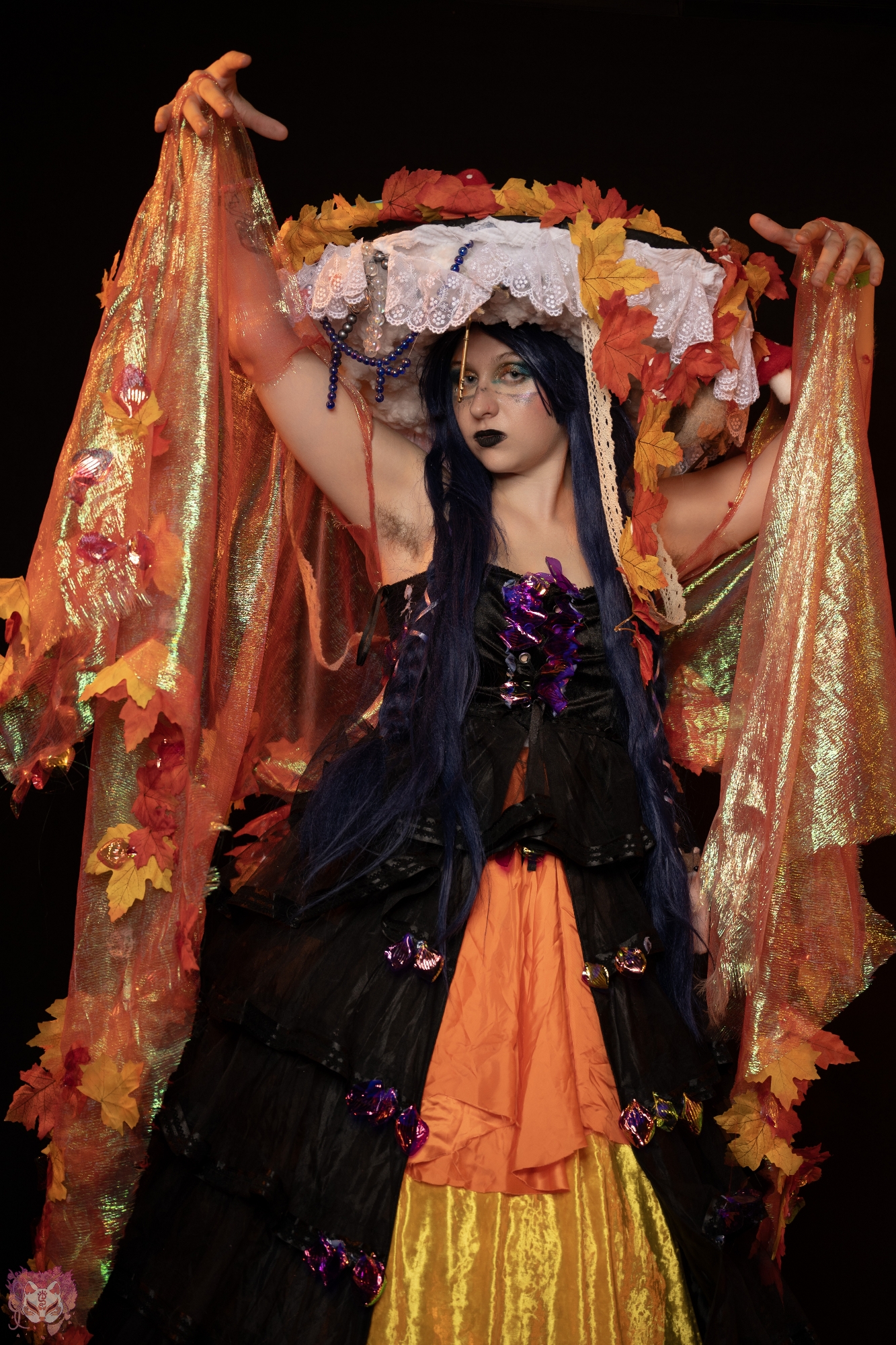 Aerys - Automne - Photo 3