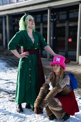 Zoro preview 2