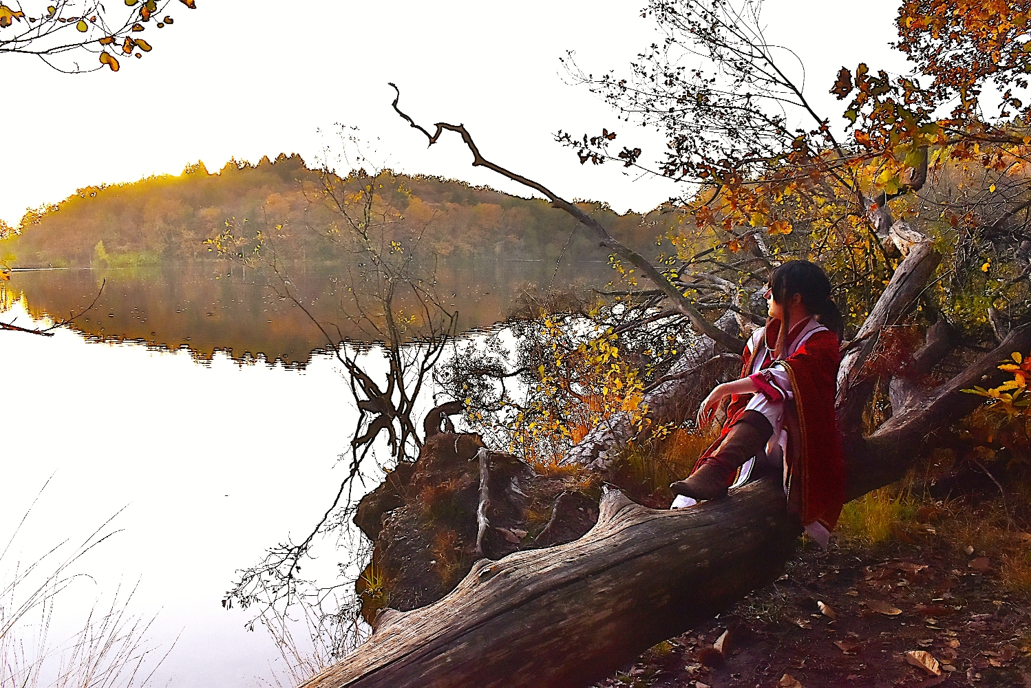 San Lang Forest 2023 - Photo 1