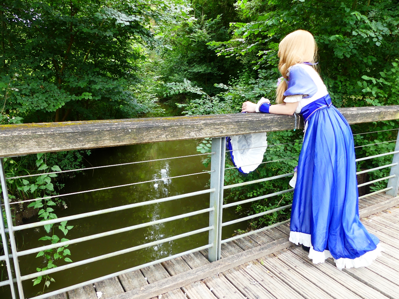 Lisa (maid ver) — photo 18
