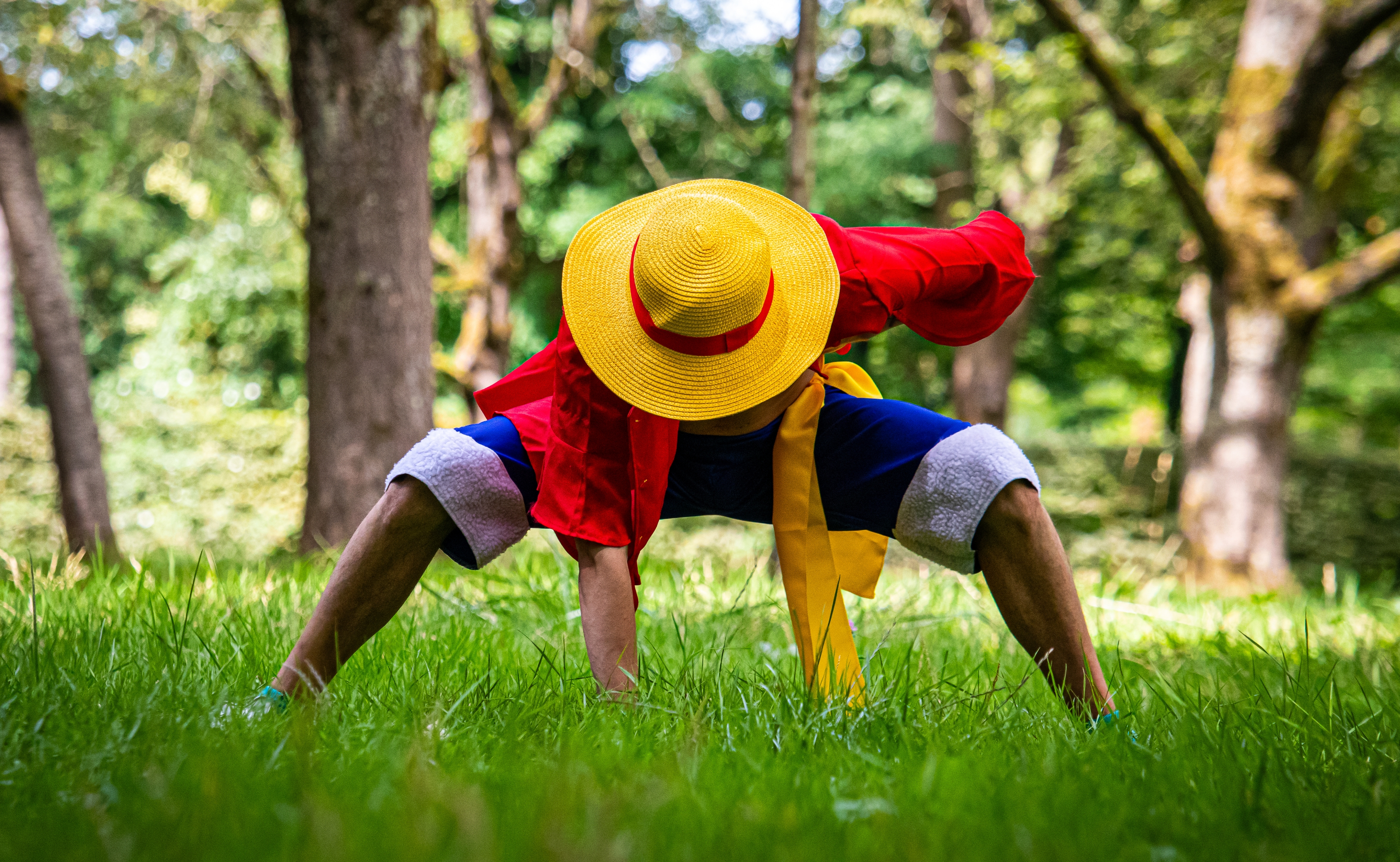 Monkey D Luffy — photo 5