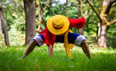 Monkey D Luffy preview 2