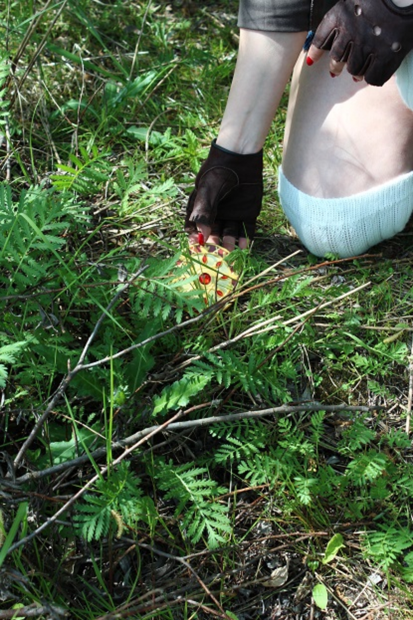 Michelle Cheng - Photo 38