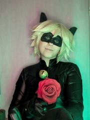 Chat noir preview 2