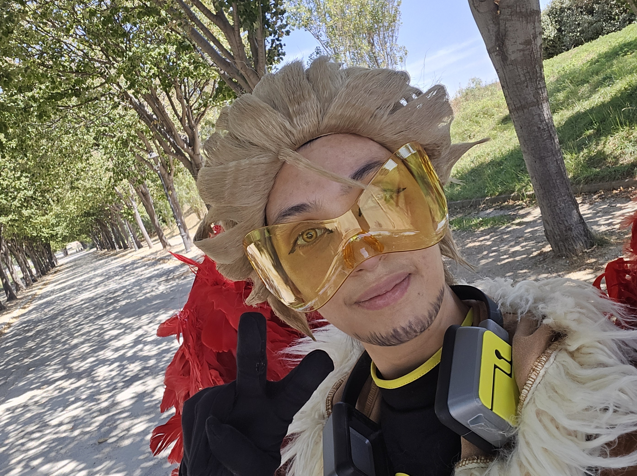 Hawks, photo 300