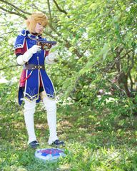 Link royal guard preview 2