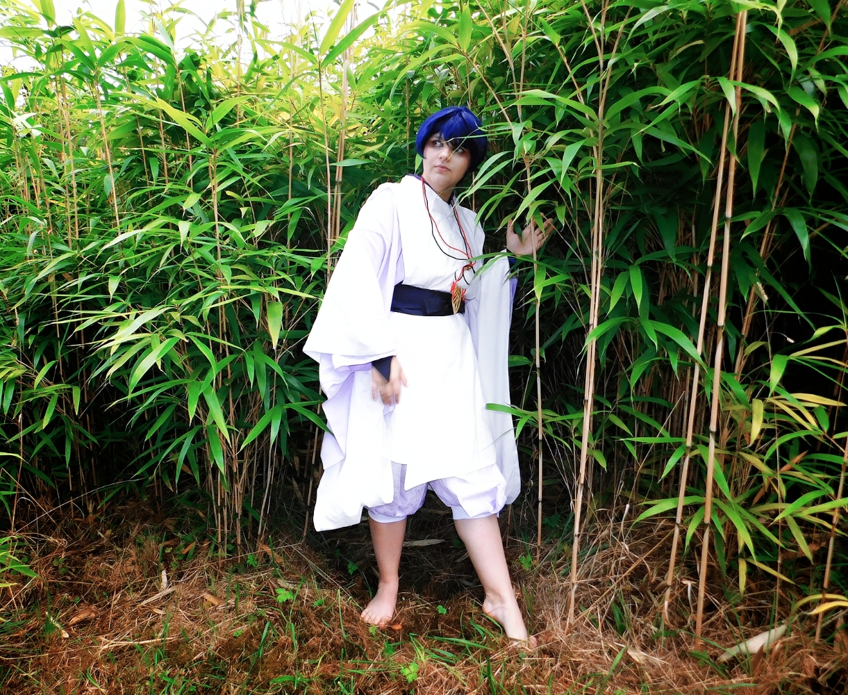 Wanderer/Scaramouche