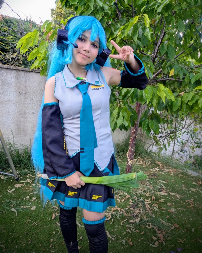 Hatsune Miku 6/25 - Photo 1