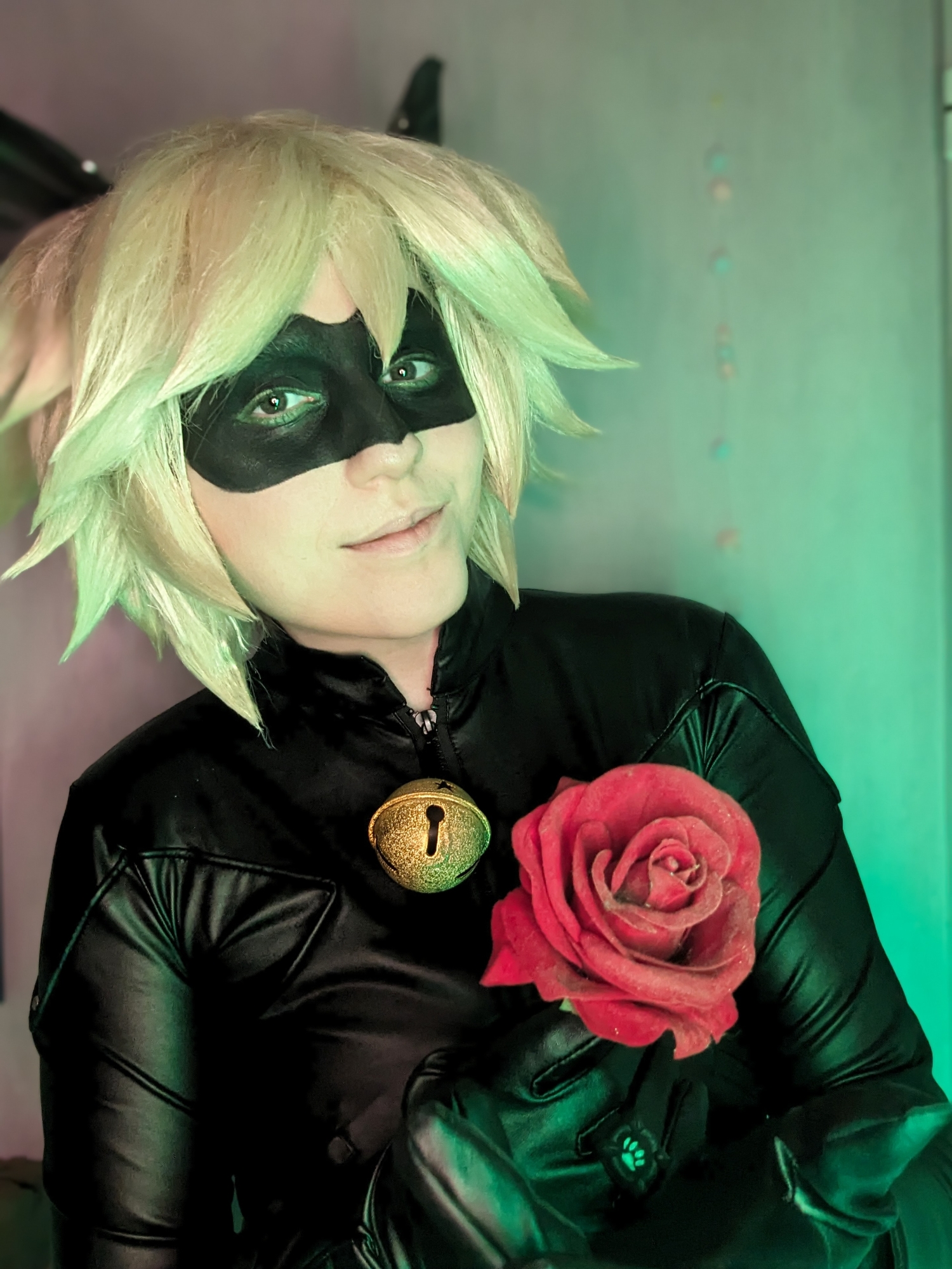 Chat noir — photo 16