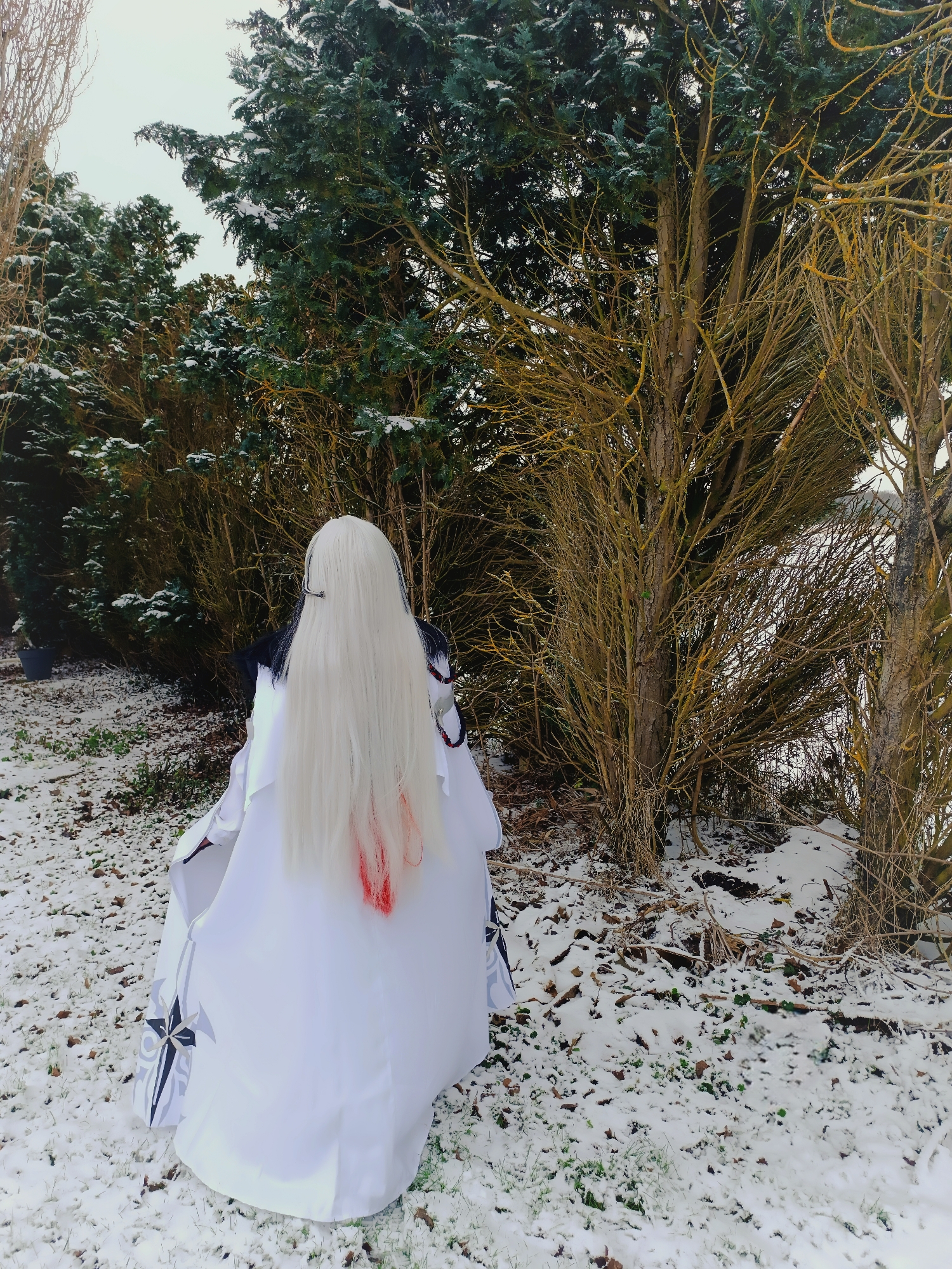 Arlecchino - Photo 10