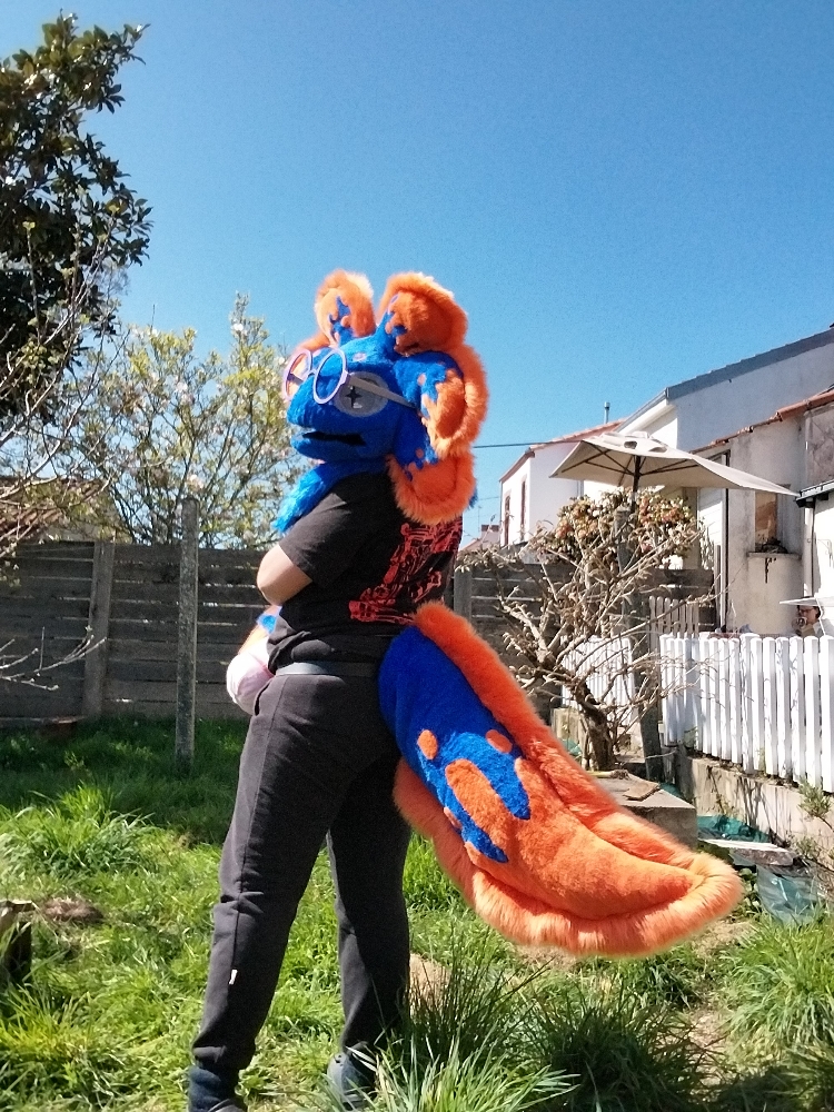 Stellar v2 - Photo 4