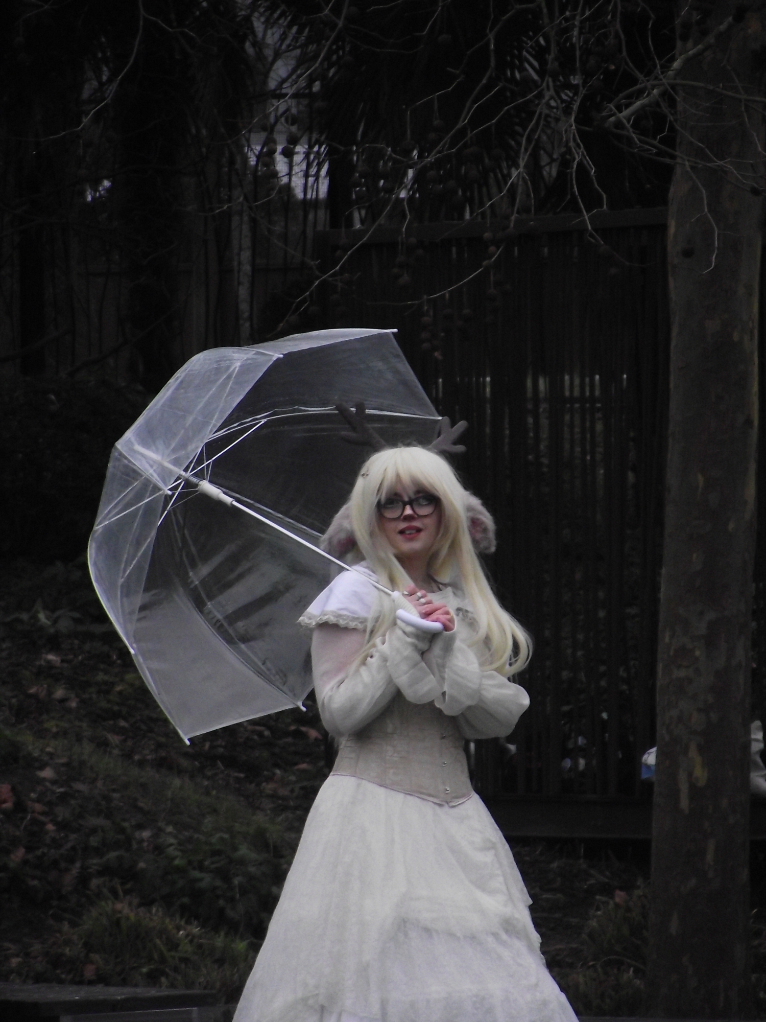 Noelle — photo 12