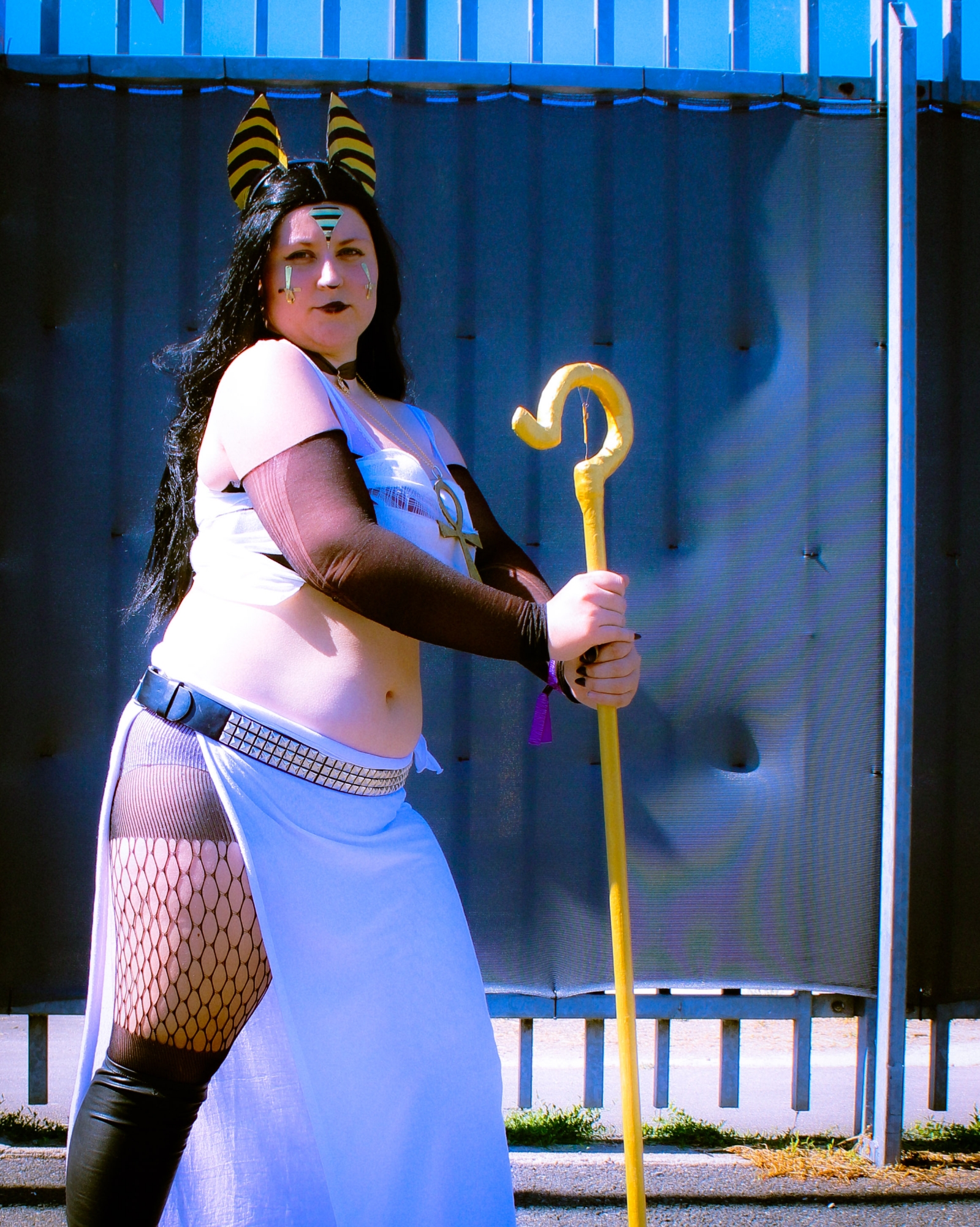 Anubis — photo 12