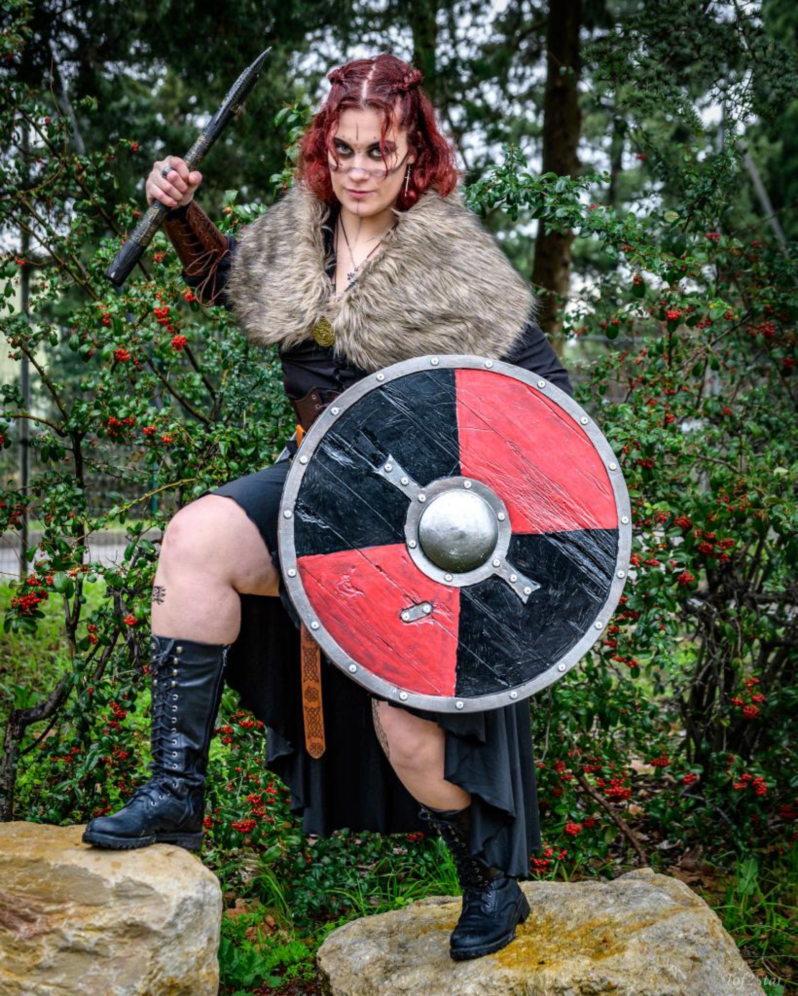 Viking — photo 7
