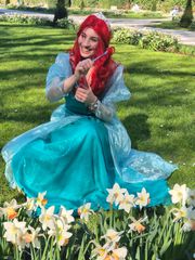 Ariel preview 3