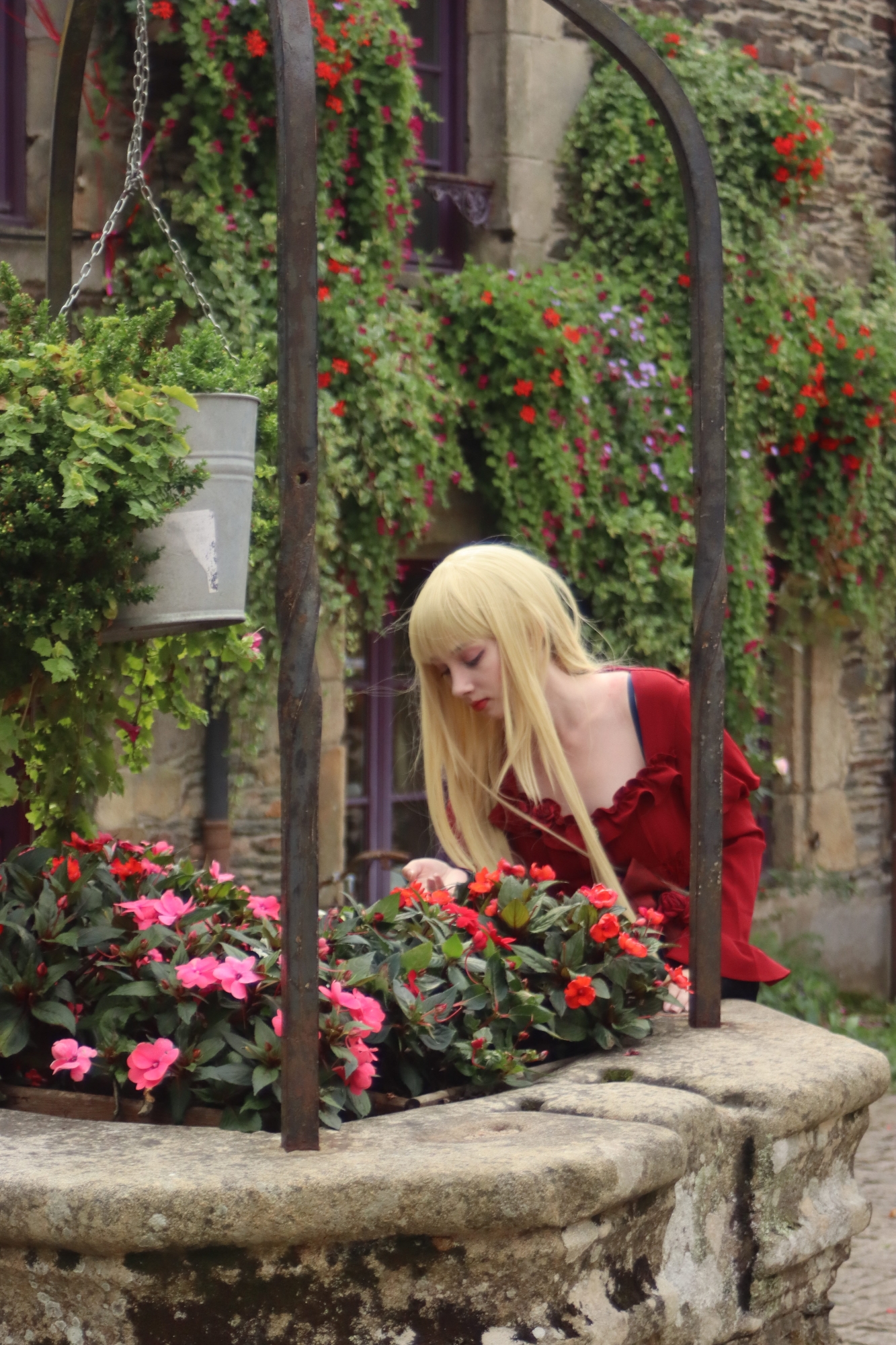 Stella — photo 12