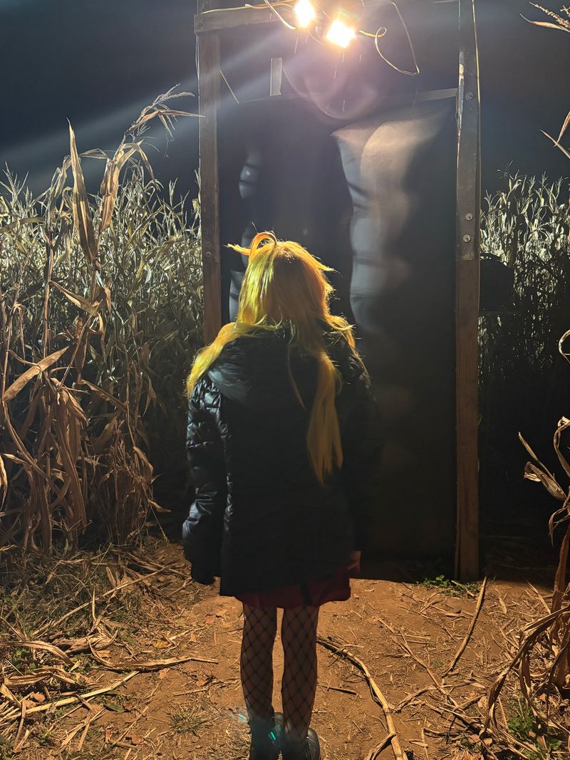 Pay – Panty Anarchy