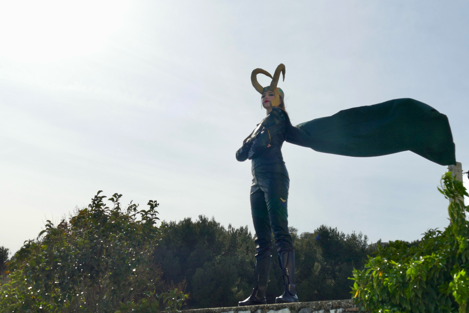 Loki — photo 21
