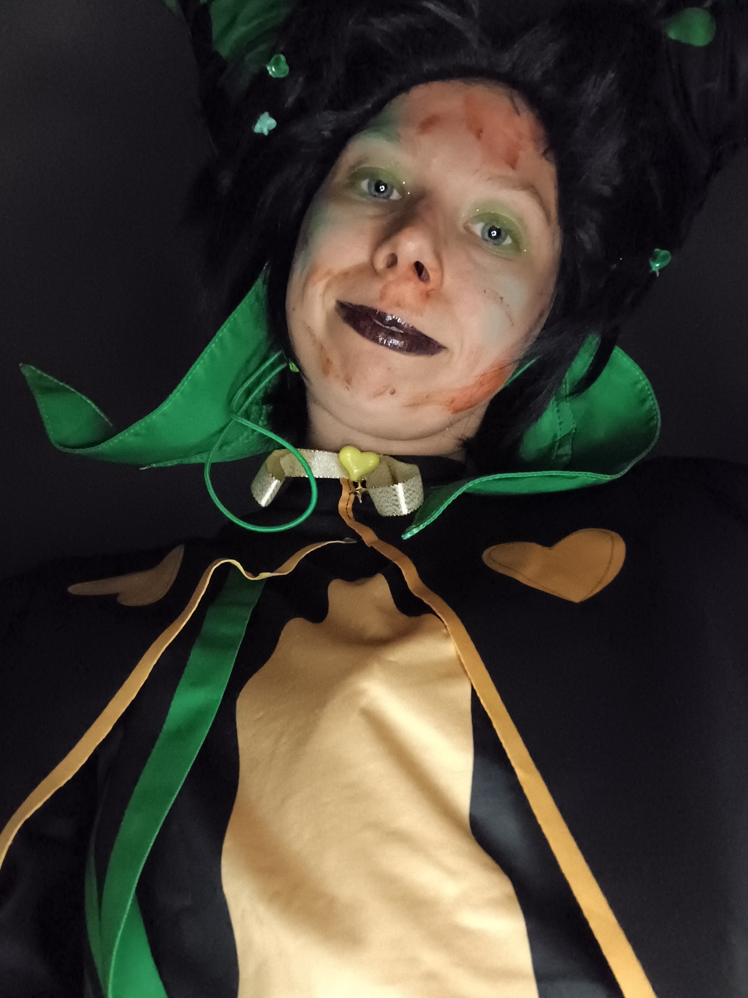 Harlequin, photo 33