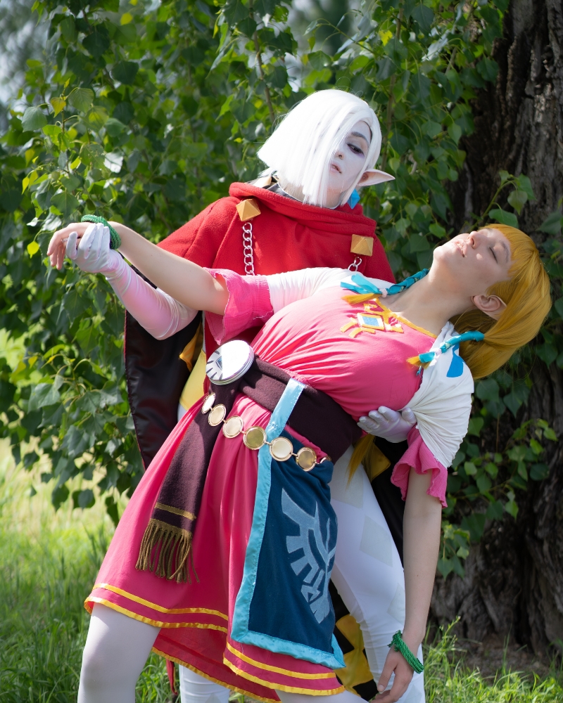 Skyward sword Zelda - Photo 5