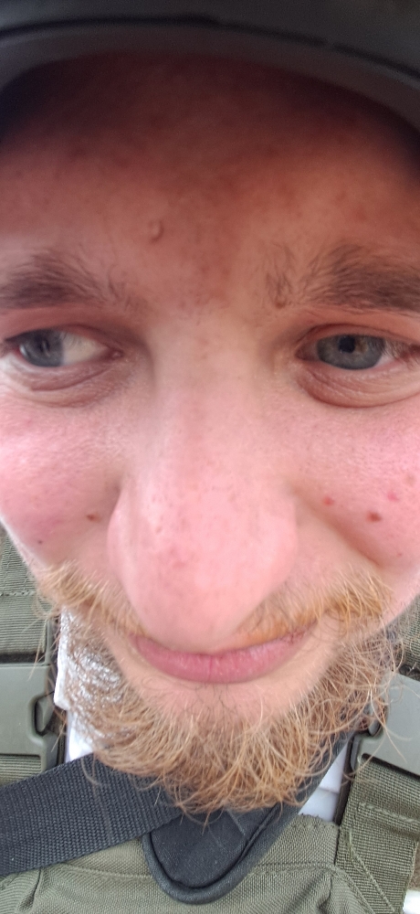 Wolf (golden mask) - Photo 1