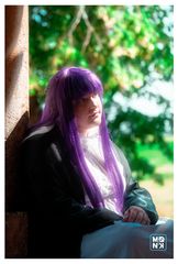 Fern preview 3