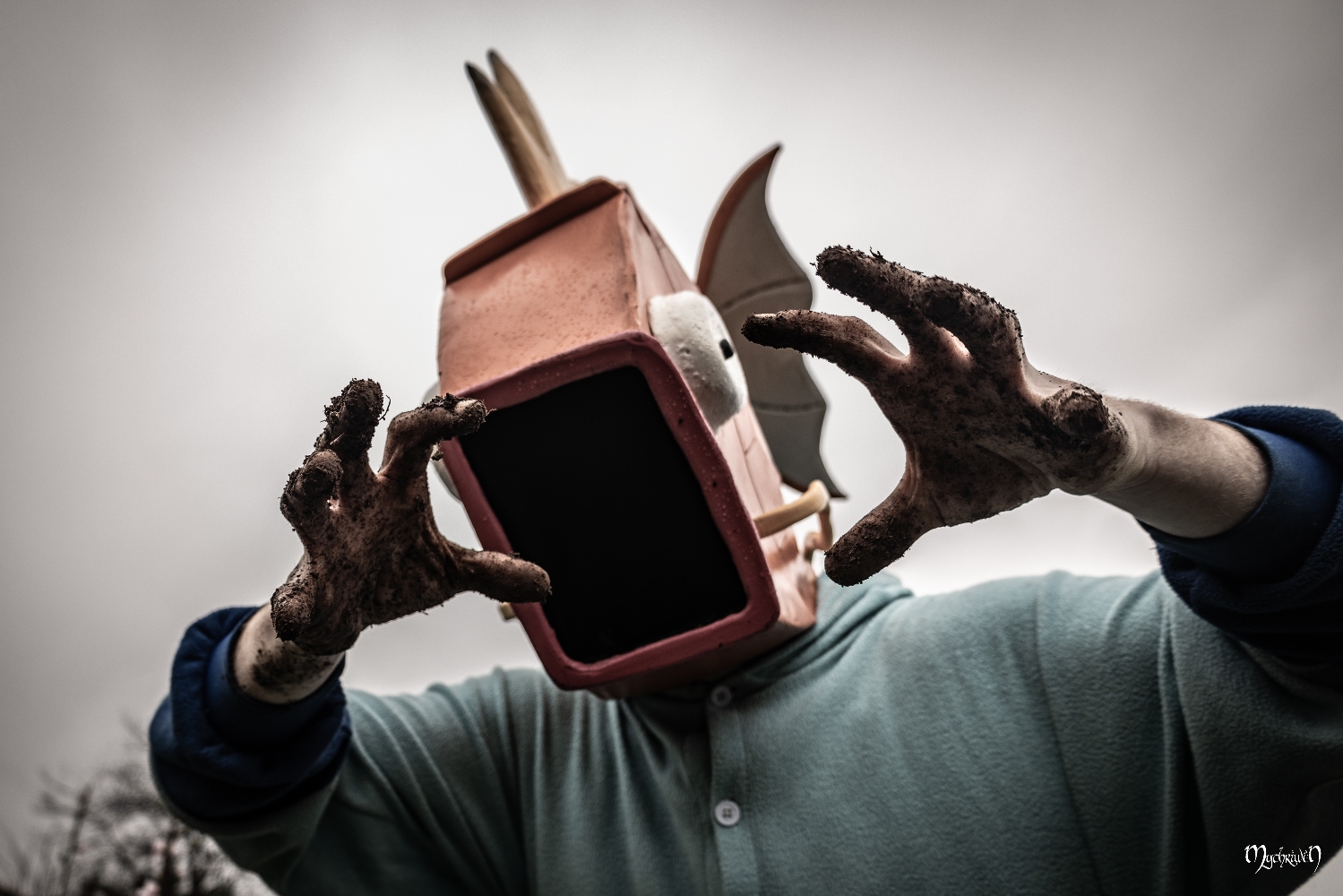 La plantation  - Photo 16