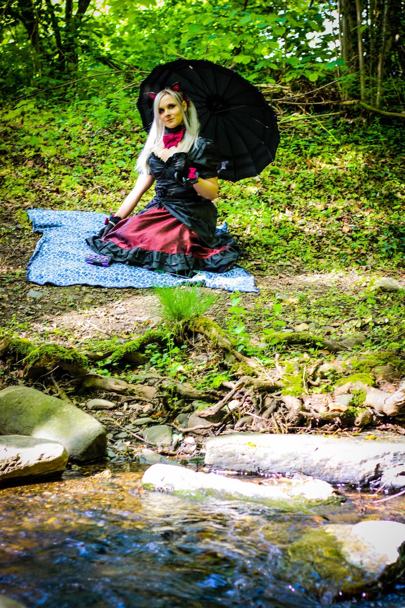 Black Cat DVA — photo 14