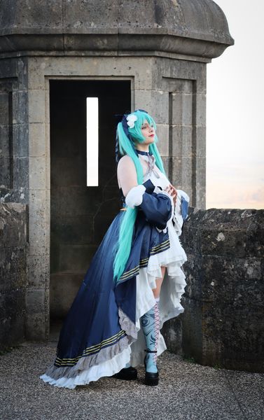 Mushu_bidou - Hatsune miku bal