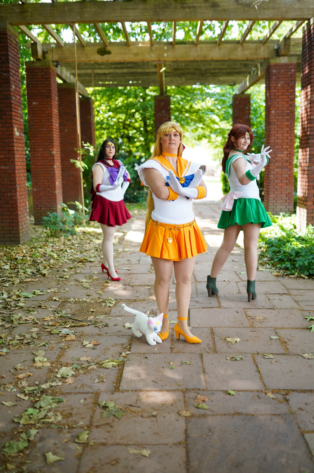 Inner Senshi Group — photo 7