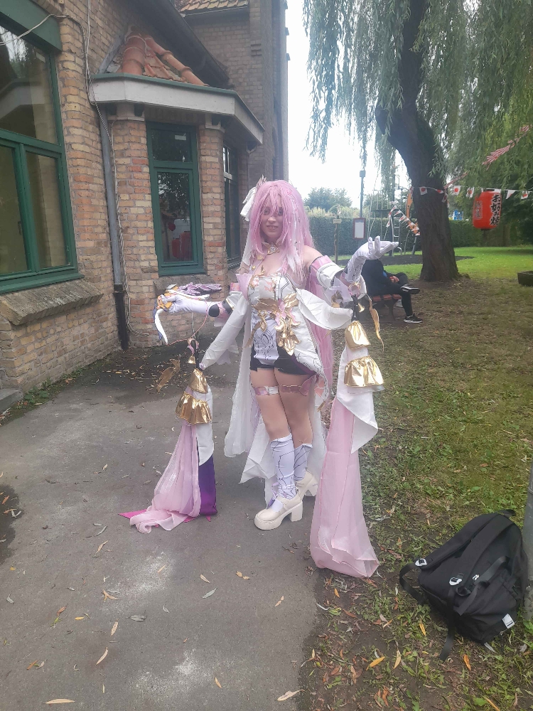 Elysia (Bailleul) — photo 11