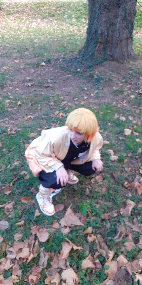 Zenitsu Agatsuma  - Photo 21