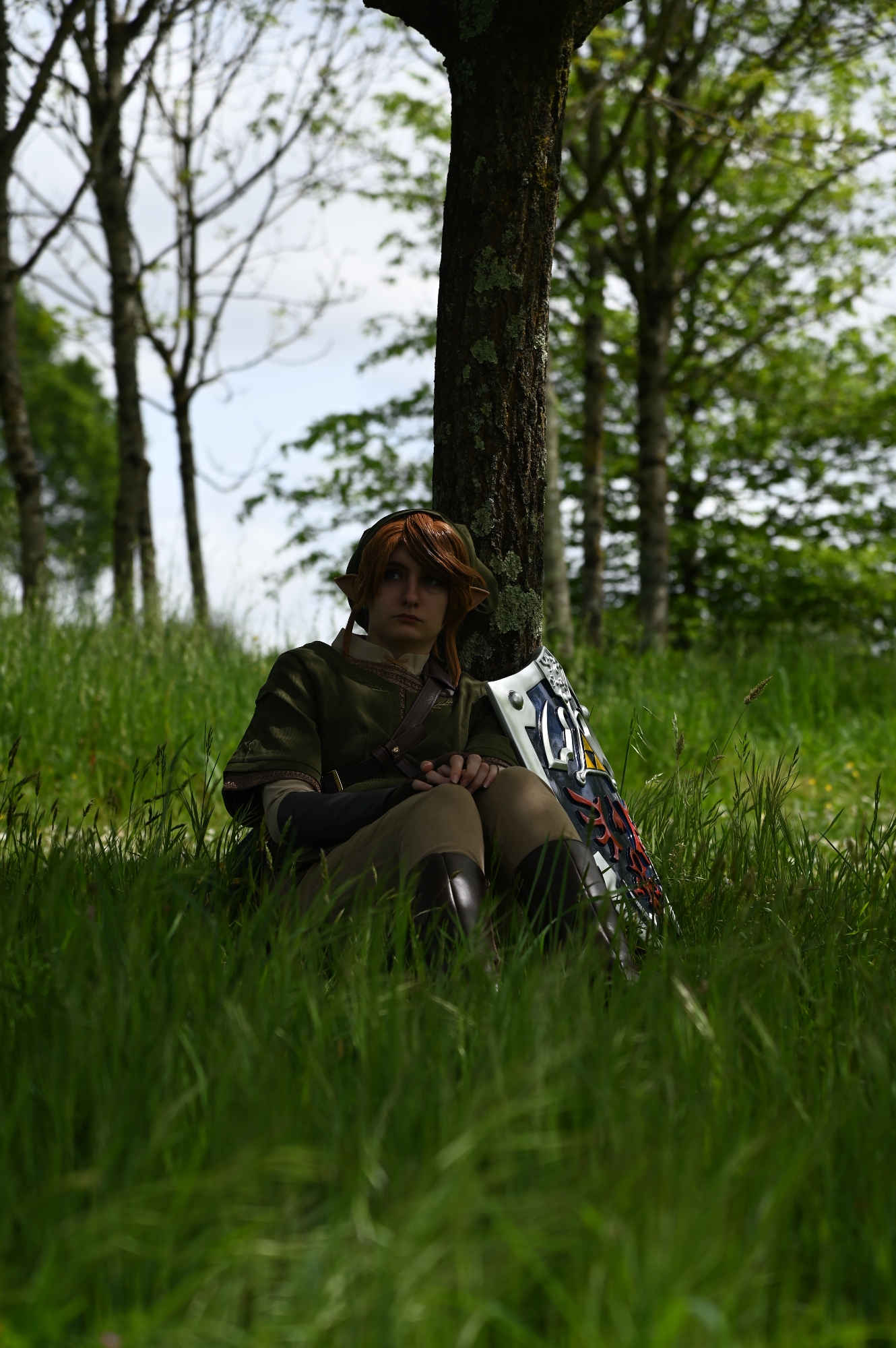 Link — photo 23