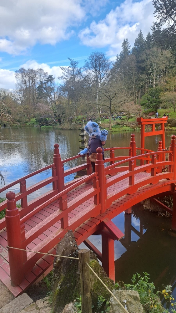 Titan (V2) - Photo 6