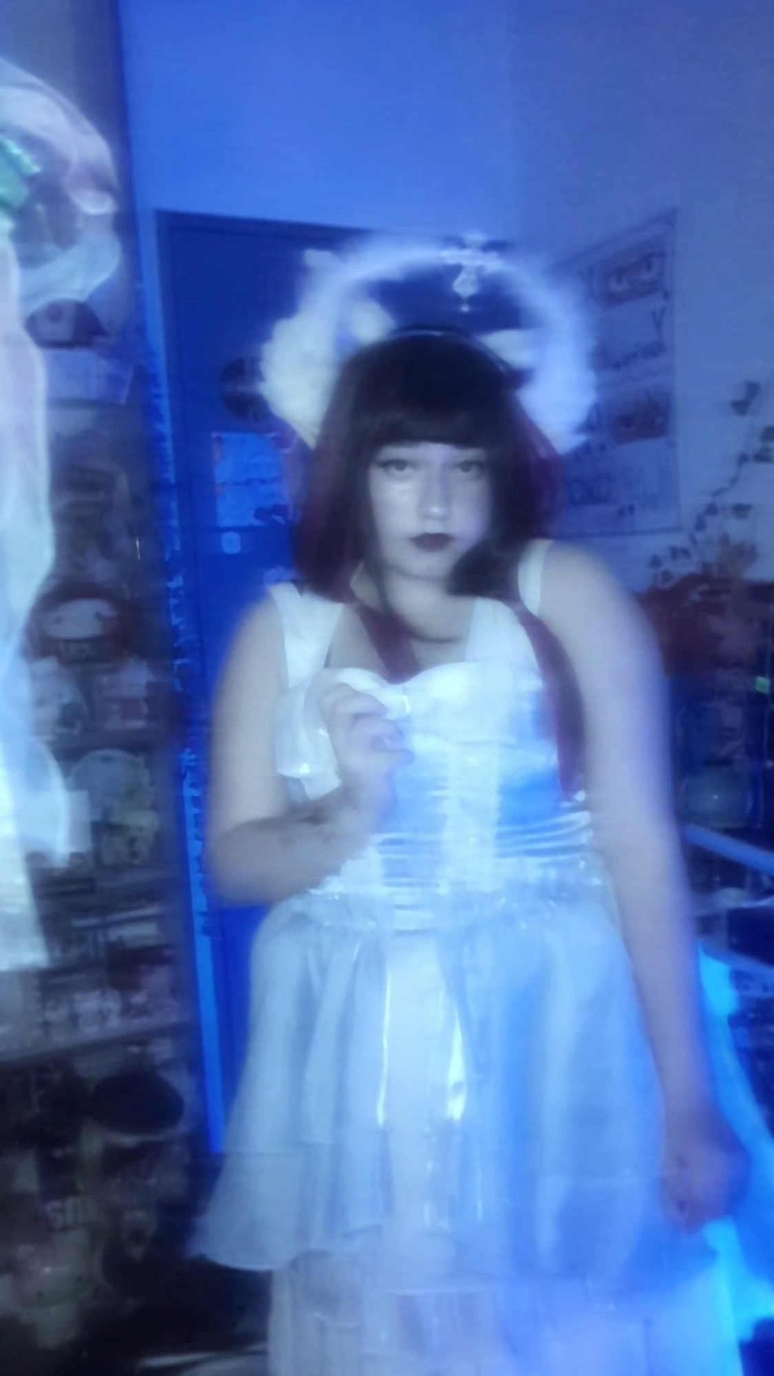 Columbina  - Photo 9