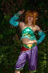 Link gerudo preview 2