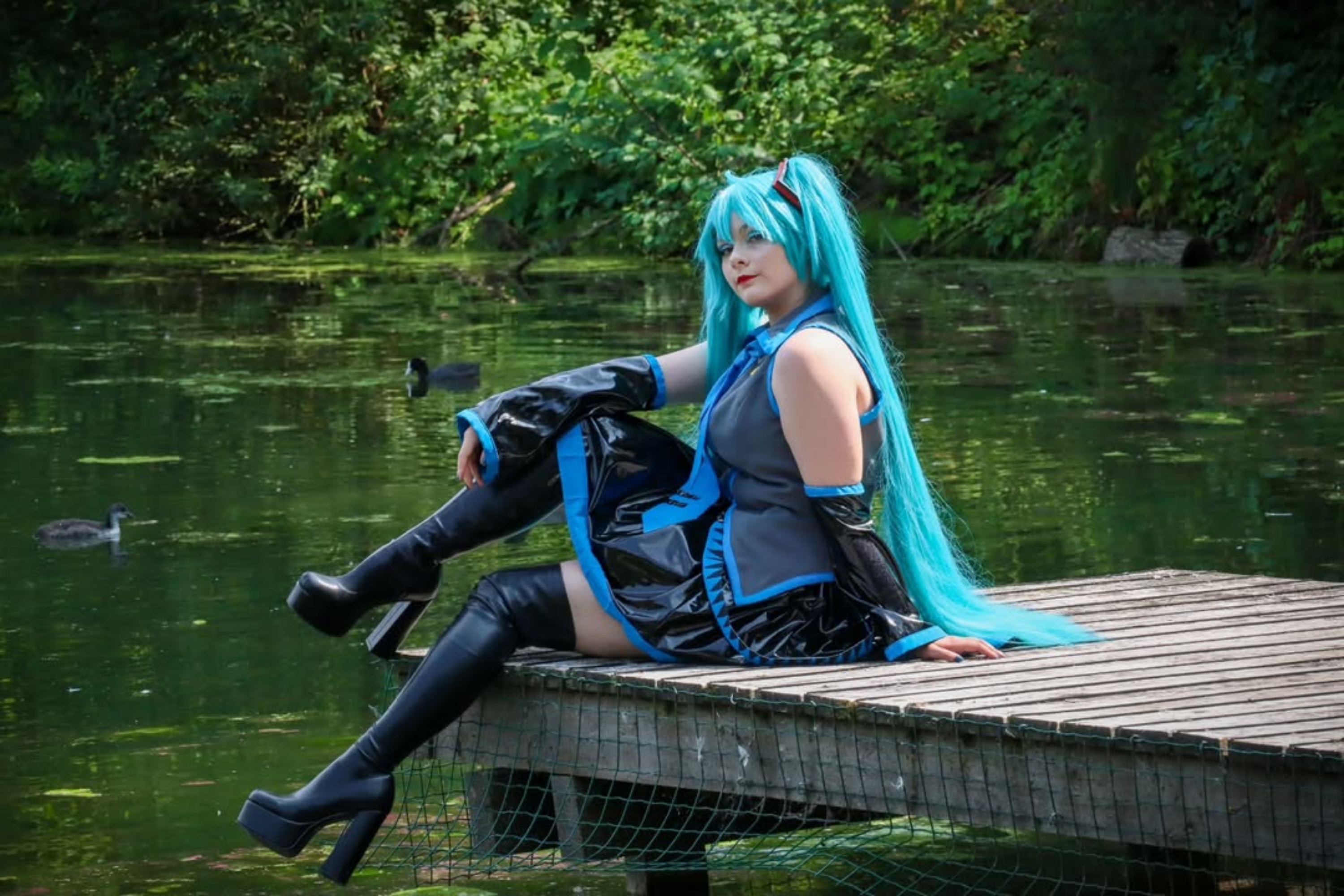 Miku — photo 12