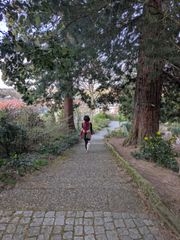 Izutsumi garten 25 preview 3