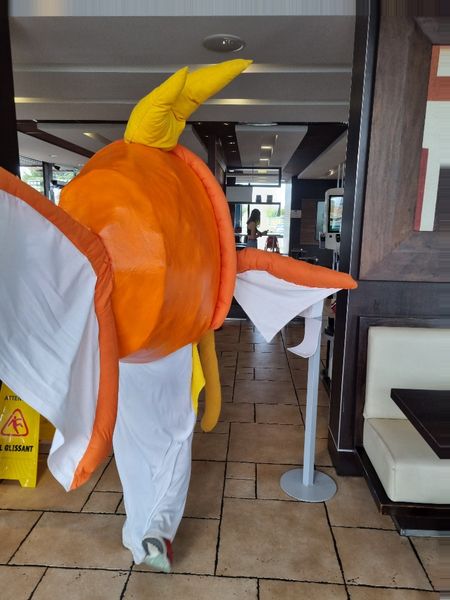Inkisylex - Magicarpe à Macdo