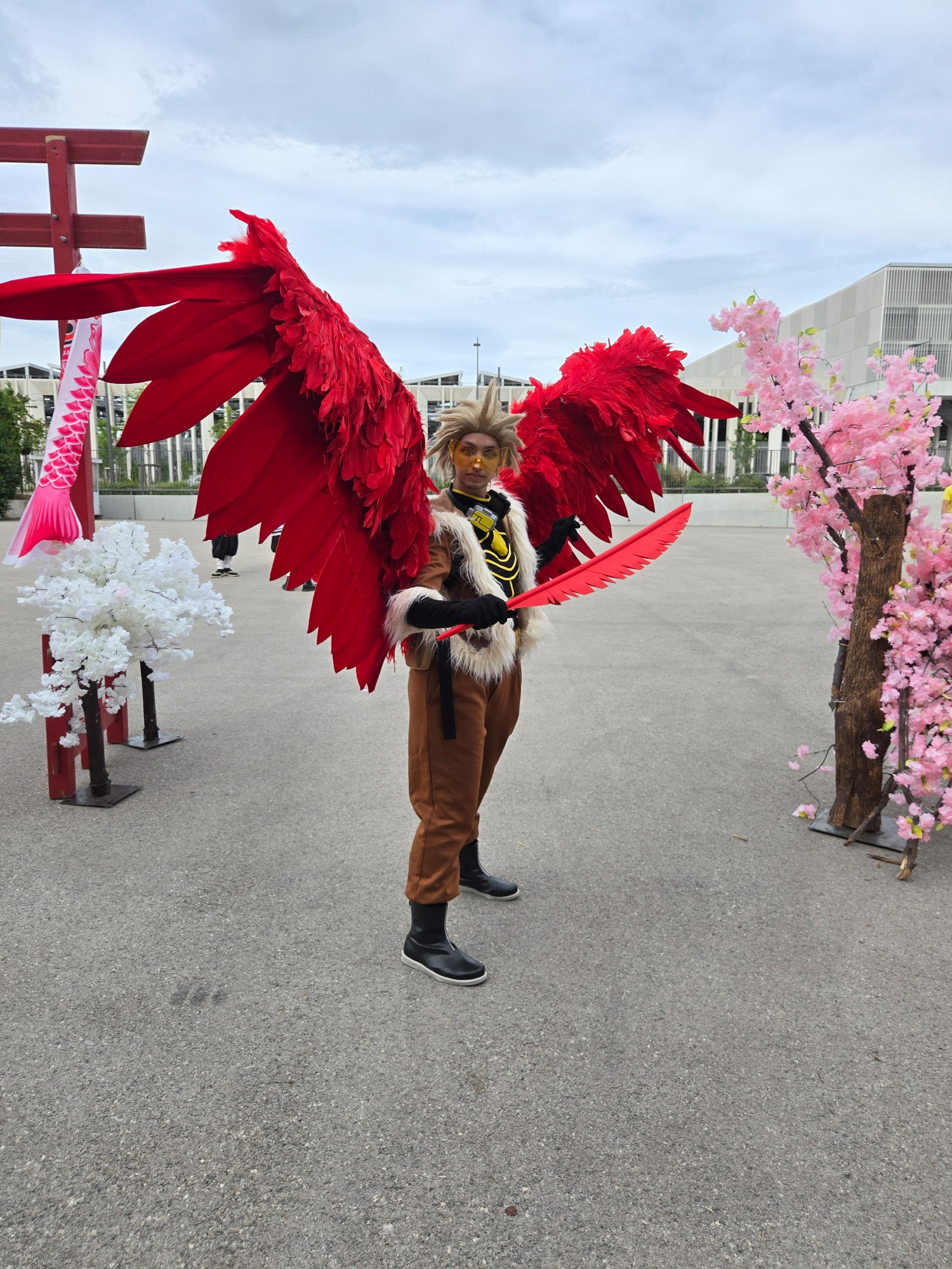 Hawks — photo 60