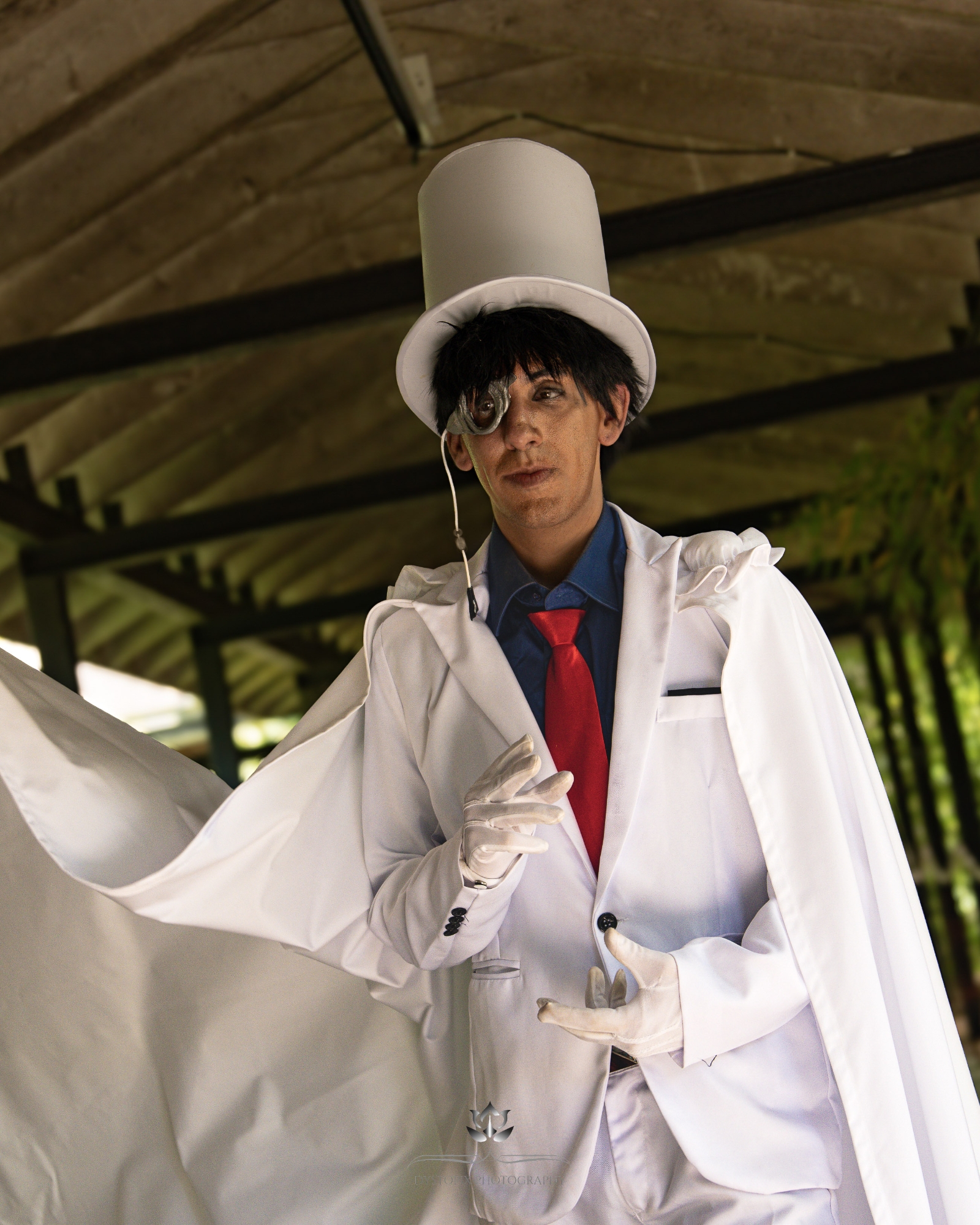 Kaito kid — photo 10