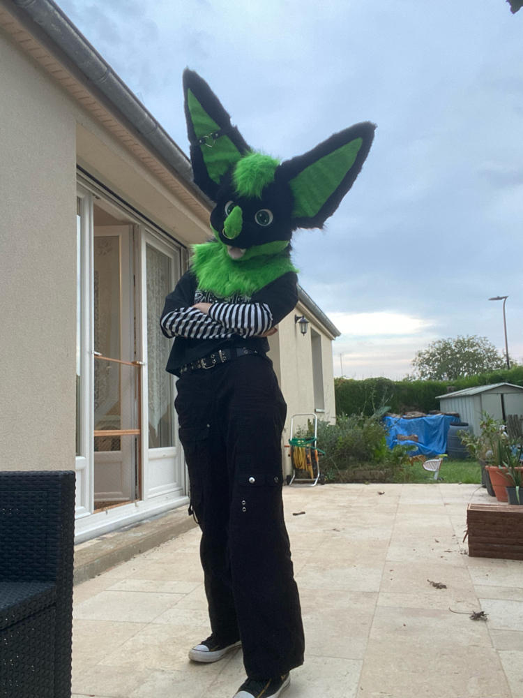 Photos Razzor - Photo 2