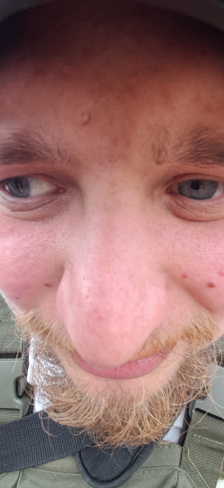 Wolf (golden mask) - Photo 12