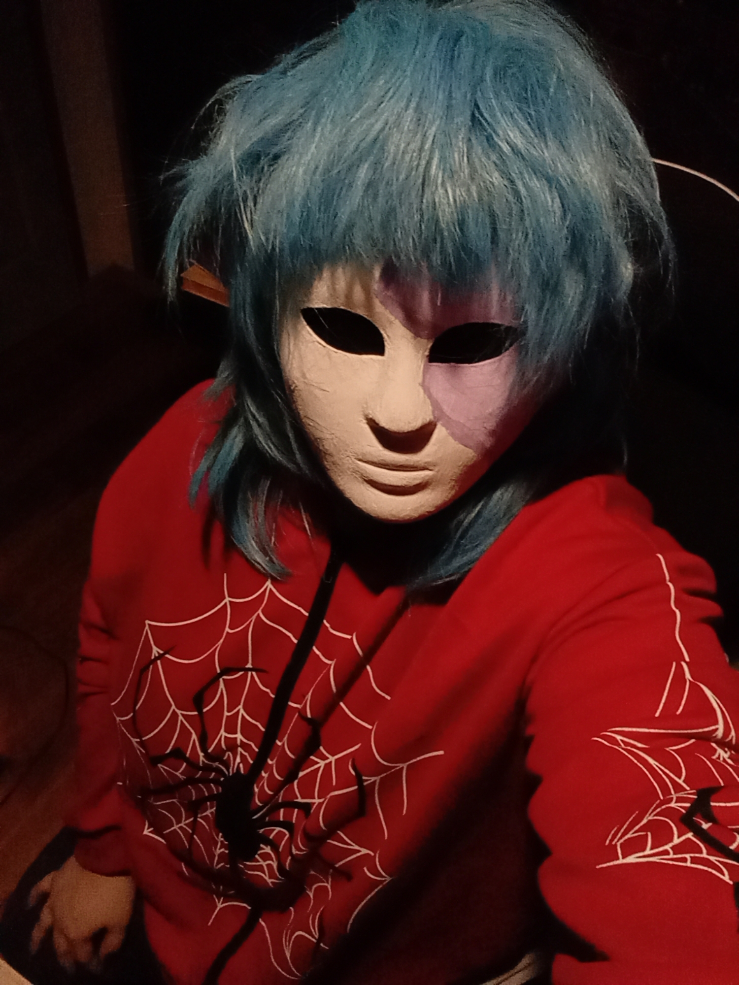 Sally face — photo 6