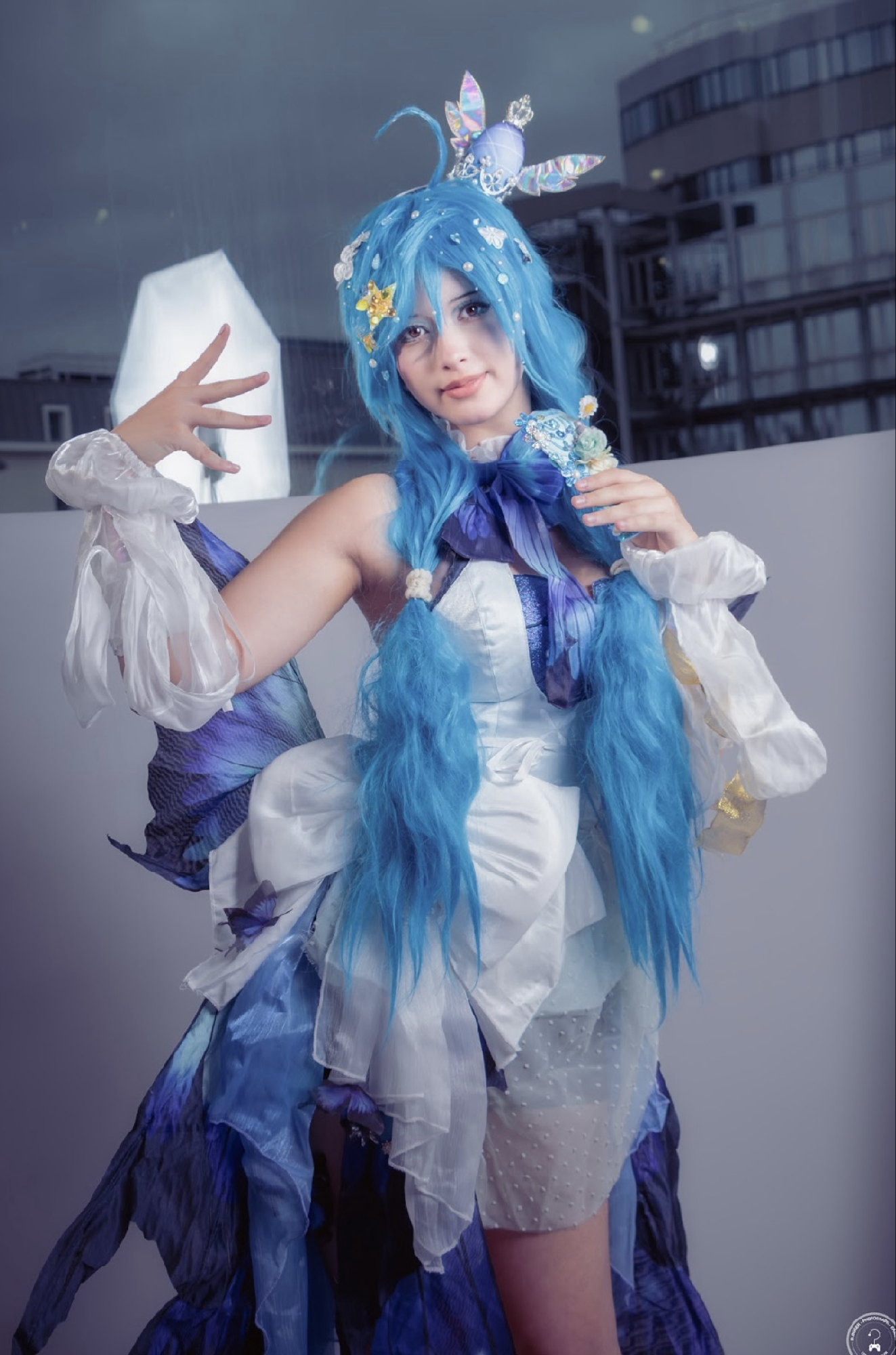 Miku butterfly - Photo 6