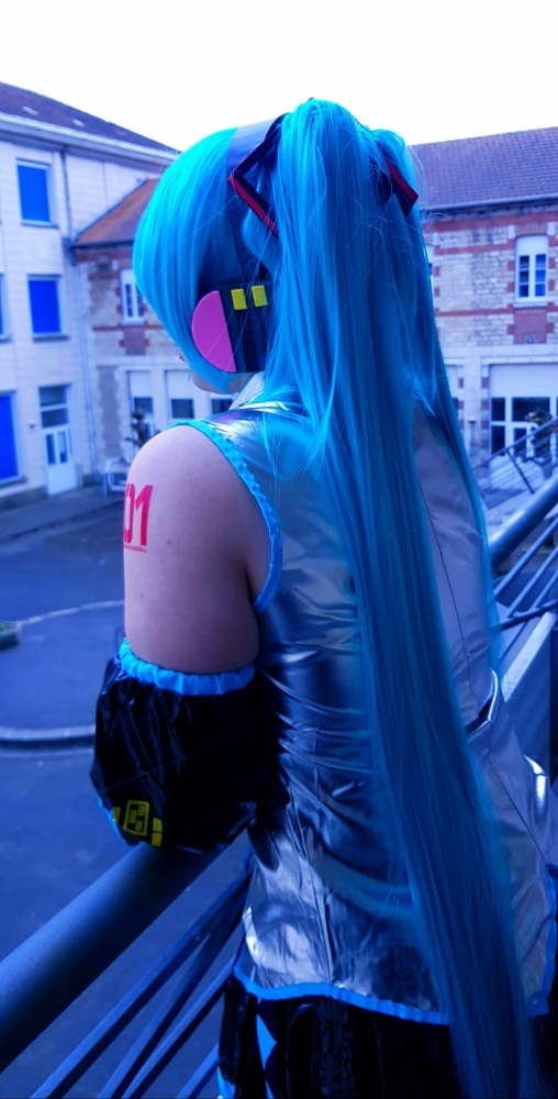 Hatsune miku — photo 15