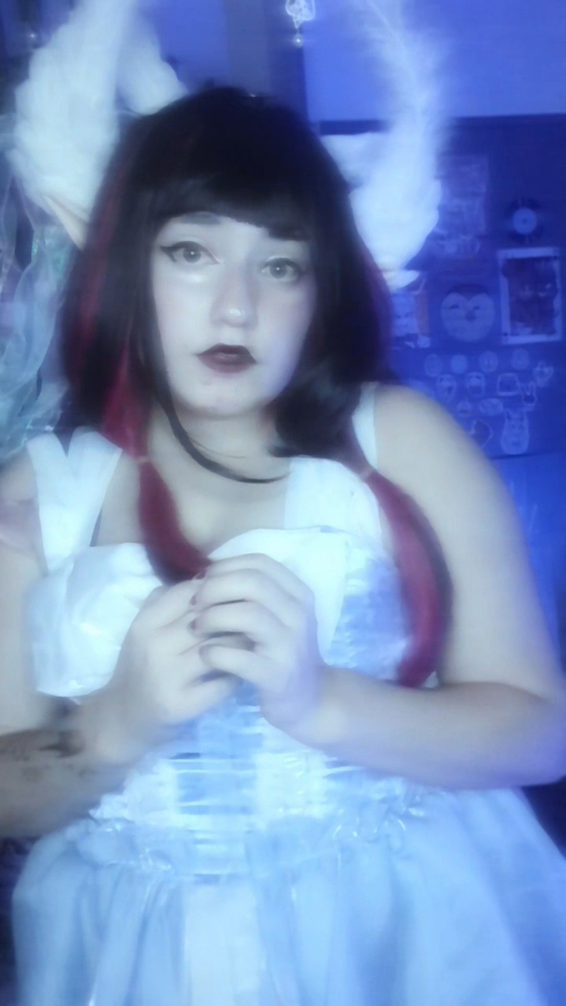 Columbina  - Photo 10