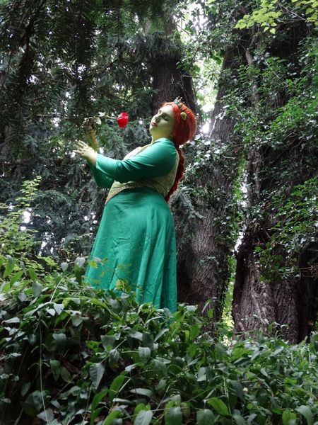 Morgane_arcaera_ - Fiona (shrek)