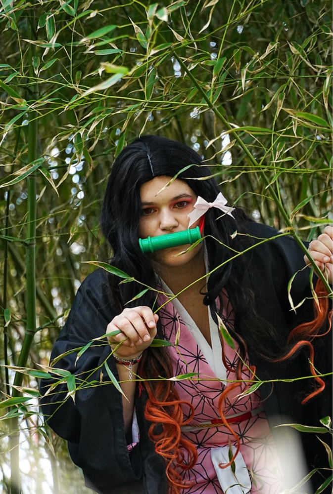 Nezuko — photo 7